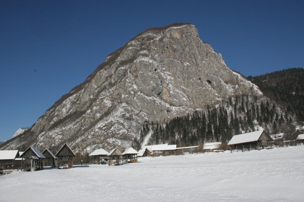 Apartments&rooms Cerkovnik Bohinj Buitenkant foto