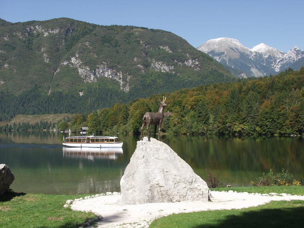 Apartments&rooms Cerkovnik Bohinj Buitenkant foto