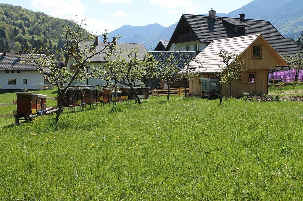 Apartments&rooms Cerkovnik Bohinj Buitenkant foto